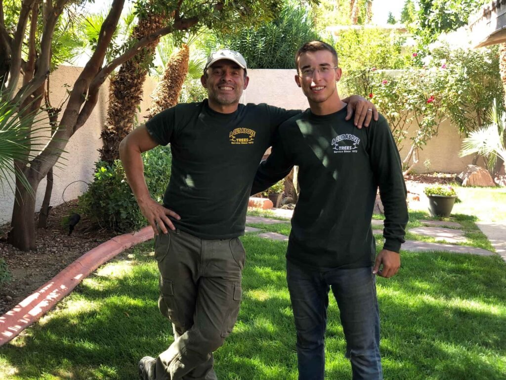 Tree service professionals from A Cut Above Tree Service in a Las Vegas backyard, standing beside trimmed palm and shade trees
