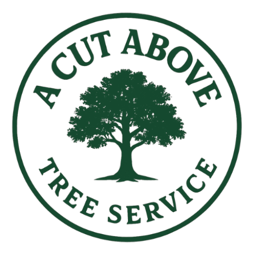 A Cut Above Tree Service - Tree service in Las Vegas