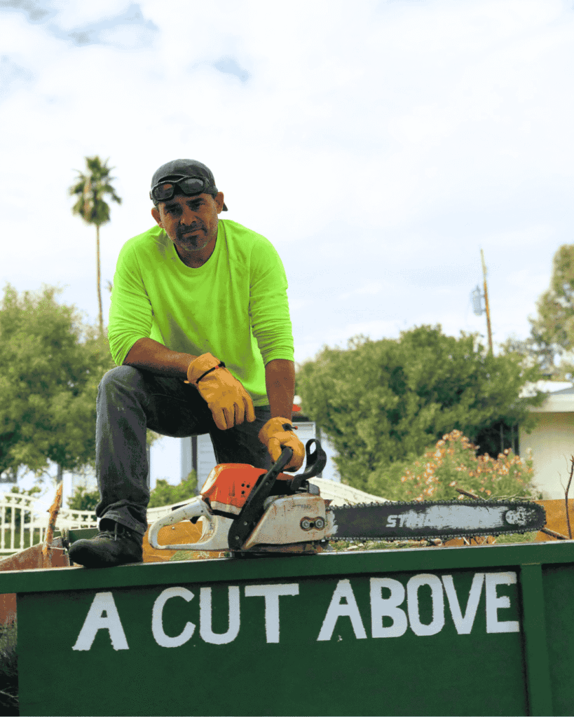 Tree service climber on the back of trailer with the words are cut above written on the trailer tree service climber is holding a chainsaw with a palm tree and a tree in the background