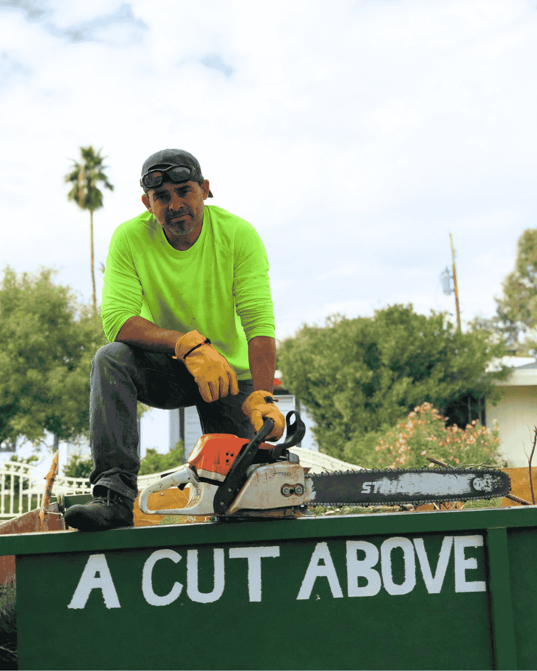A Cut Above Tree Service gallery 8